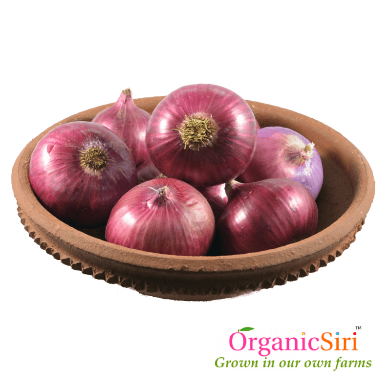 Onion 1 Organic Onion