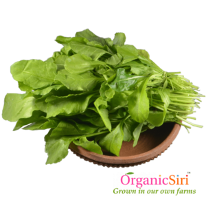 Organic Palak