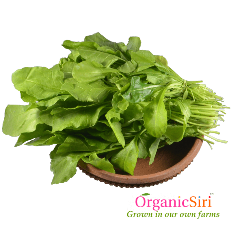 Palak 2bn 1 Organic Palak