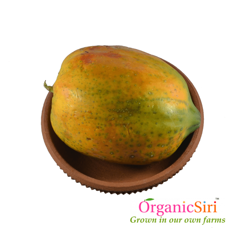 Papaya 1pc 1 Organic Papaya