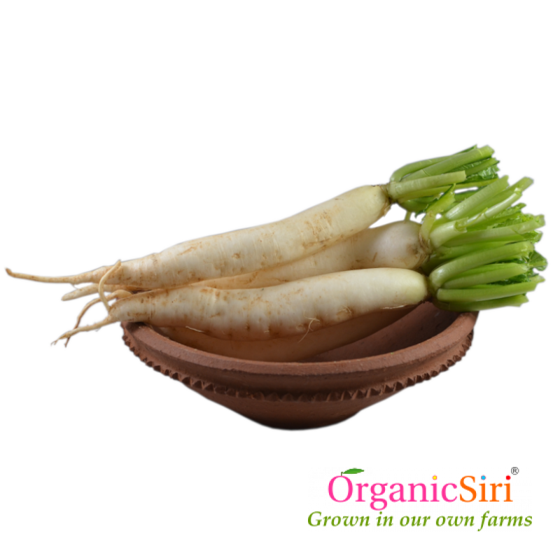Radish 4pc 1 organic radish