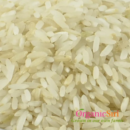 rice single polish cls