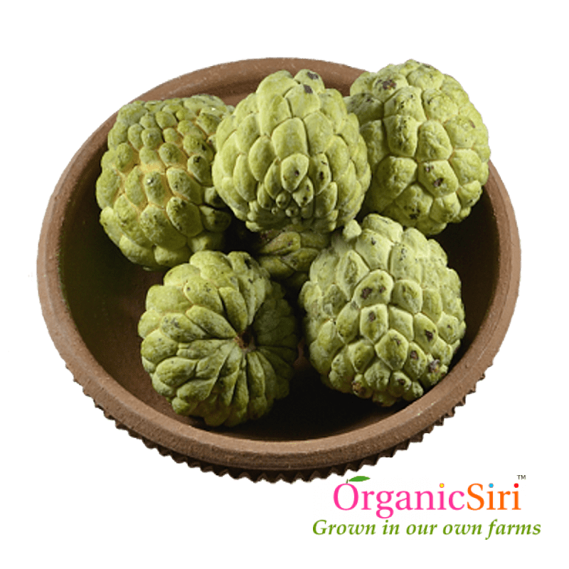 Seetaphal 6pc 1 Organic Seetaphal