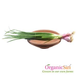 Organic Spring Onion