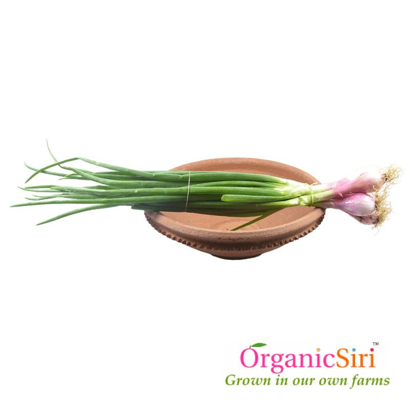 Spring Onion 1pk 1 Organic Spring Onion