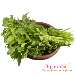 Organic Thotakura Green