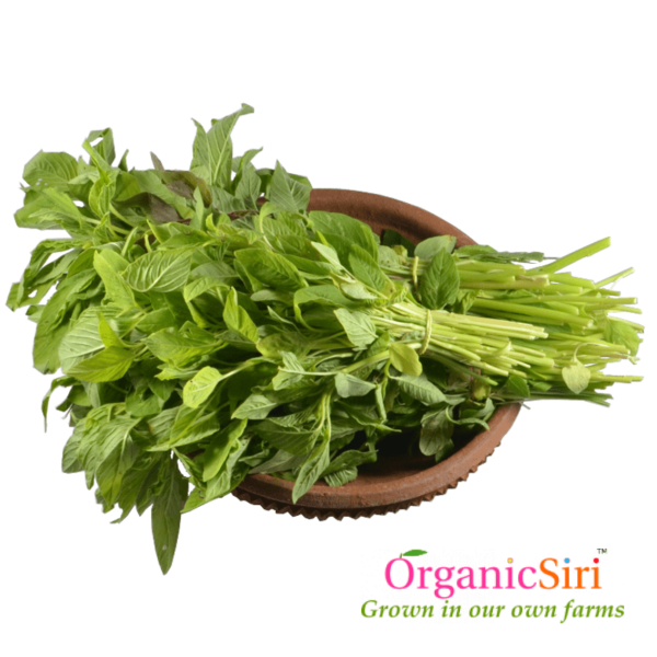 Organic Thotakura Green
