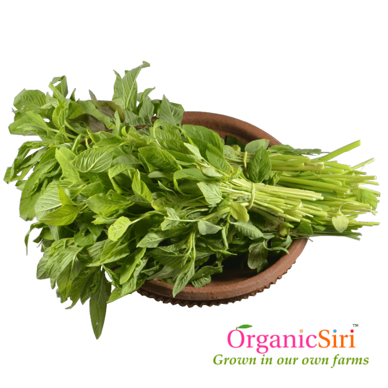 Thota Kura Green 2bn 1 Organic Thotakura Green