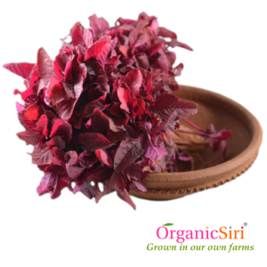 Organic Thota Kura Red