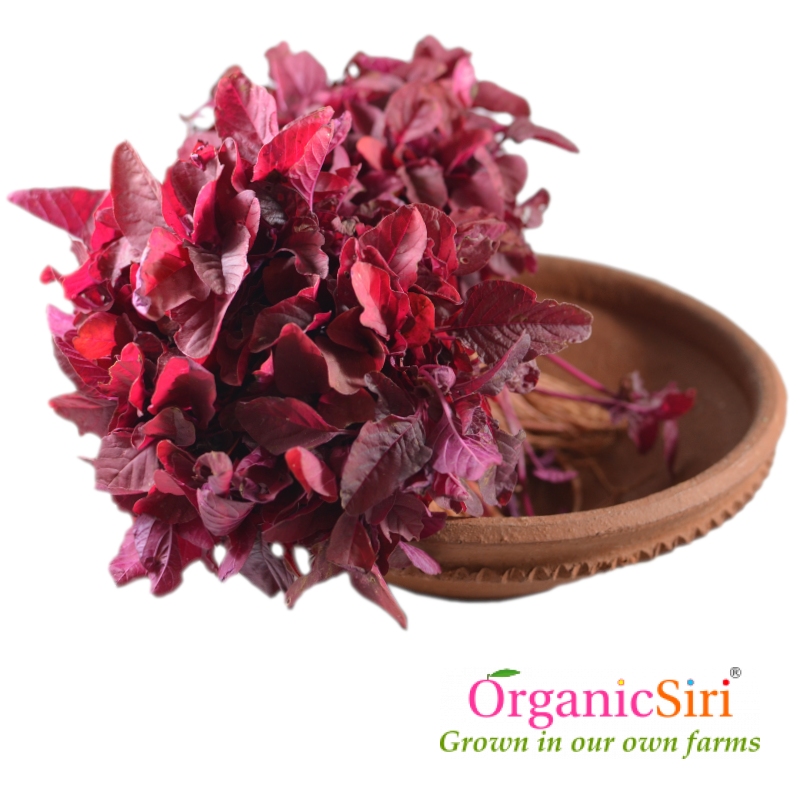 Thota Kura Red 2bn 1 Organic Thota Kura Red