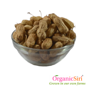 Organic Groundnut Pods