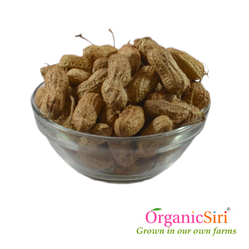 Groundnut Fresh Pods 500g 1 Organic Groundnut Pods