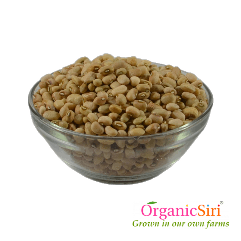 Cowpea (Bobbara) 500g 1 Organic Cowpea