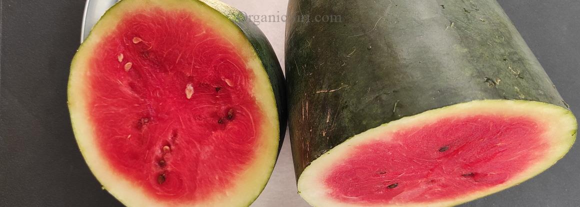 Leading a 'Fruitful' Life? - Relish our Fresh Organic Fruits 2 Fresh Organic Fruits