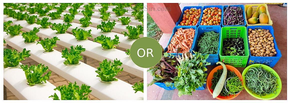 UrbanKisaan or RuralKisaan - Why OrganicSiri is blissfully wedded to Soil 1 UrbanKisaan or RuralKisaan