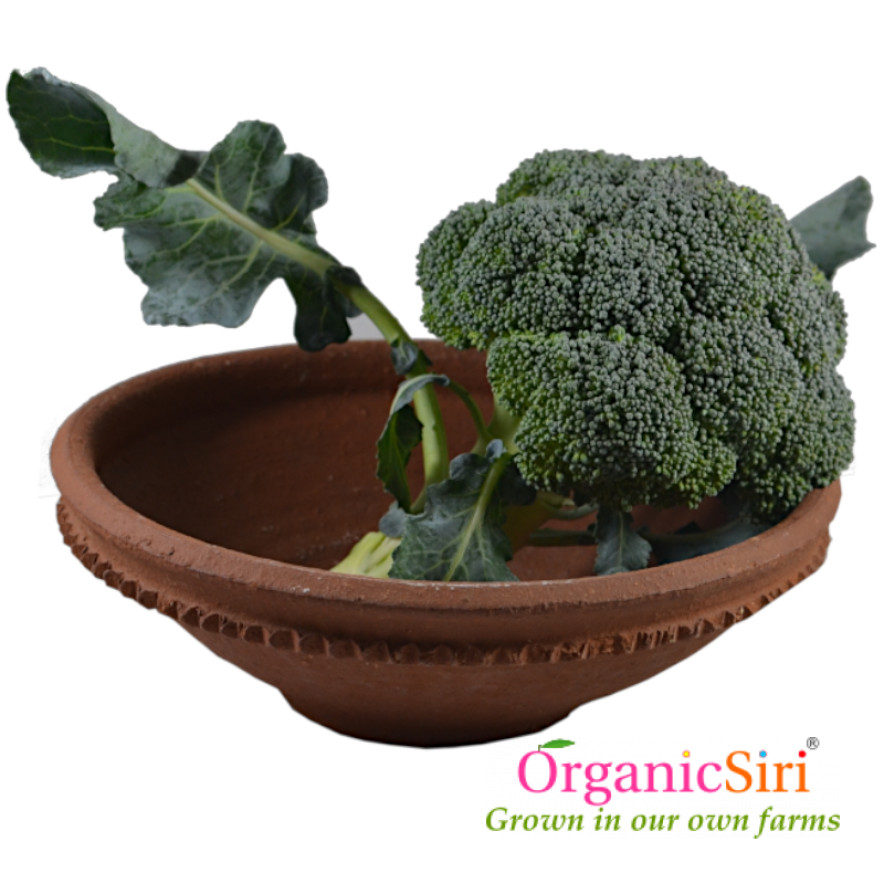 Broccoli 1pc 1 Organic Broccoli