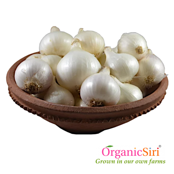 Organic Onion White