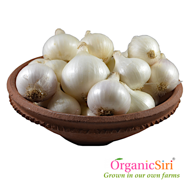 Onion White 1kg 1 Organic Onion White