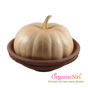 Organic Vegetables in Hyderabad - 3 reasons for limited supply 12 Organic Pumpkin