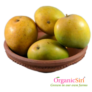 Organic Banginapalli Mango