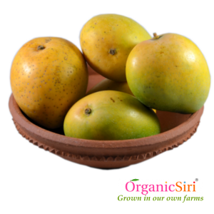 Organic Banginapalli Mango