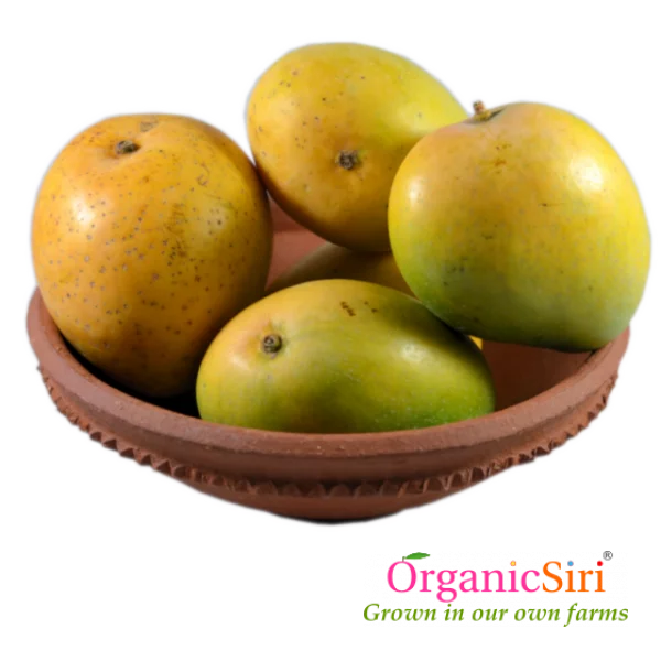 Organic Banginapalli Mango