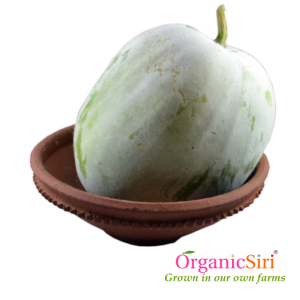 Organic Vegetables in Hyderabad - 3 reasons for limited supply 15 Organic Ash Gourd