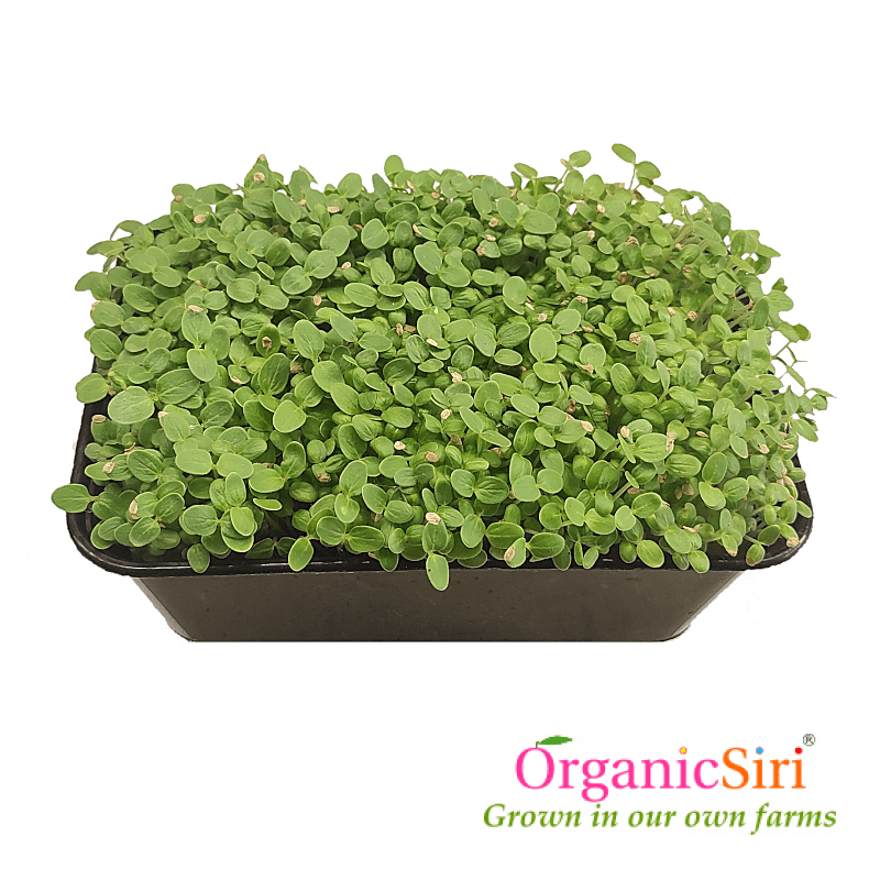 Microgreens 50g 1 Organic Microgreens