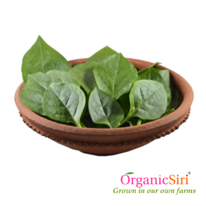 Organic Bachalikura