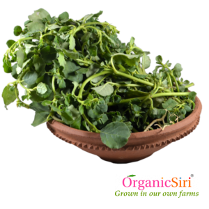 Organic Tella Galijeru