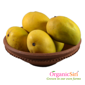 Organic Chinnarasalu