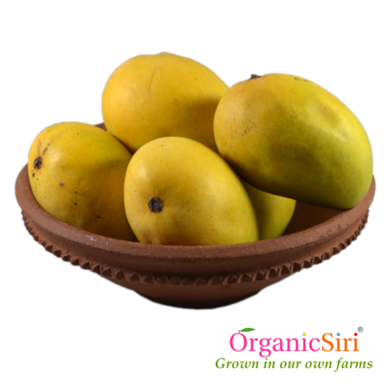Mango Chinna Rasalu 1 Organic Chinnarasalu