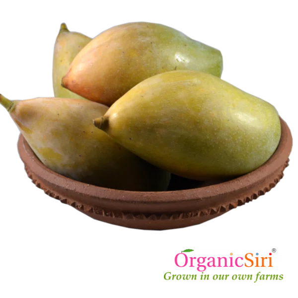 Organic Mango Thotapuri