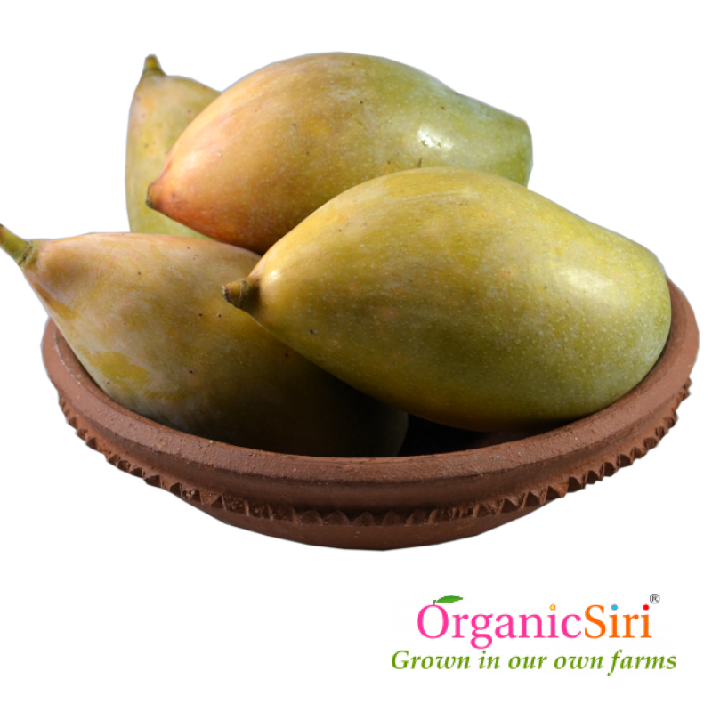 Mango Thothapuri 1kg 1 Organic Mango Thotapuri
