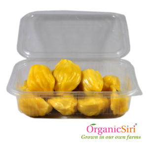 Organic Panasa Thonalu