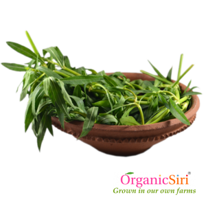 Organic Ponnaganti Kura