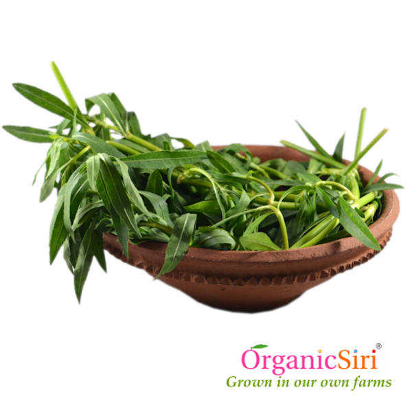 Organic Ponnaganti Kura