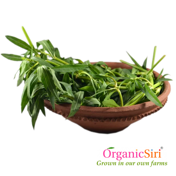 Organic Ponnaganti Kura