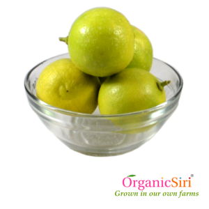 Organic Vegetables in Hyderabad - 3 reasons for limited supply 15 Organic Nimma (Lemon)