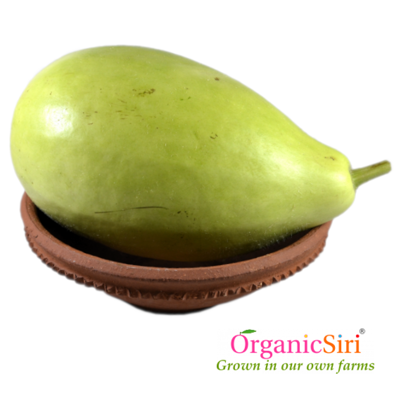 Sorakaya Round 1pc 1 Organic Sora Roundish