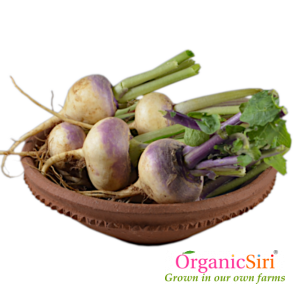 organic turnip