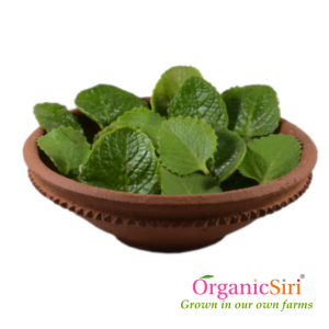 Organic Vamu Aaku