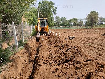 Trenching for drip irrigation
