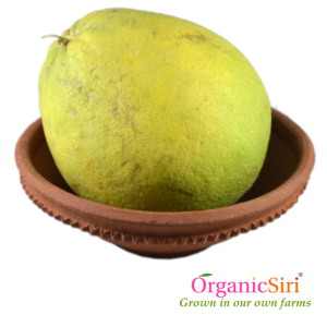 Organic Pampara Panasa