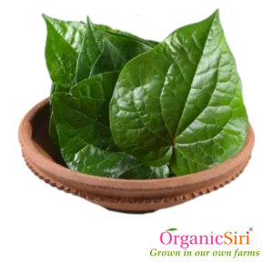 Organic Thamalapaku