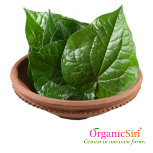 Organic Thamalapaku