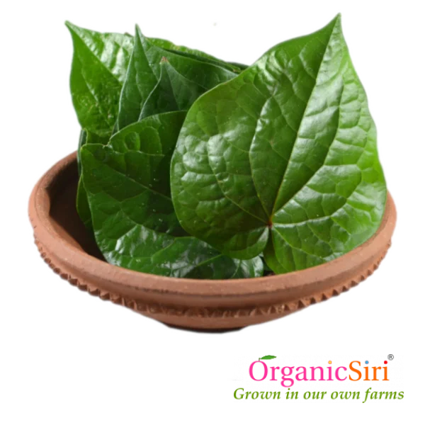 Organic Thamalapaku