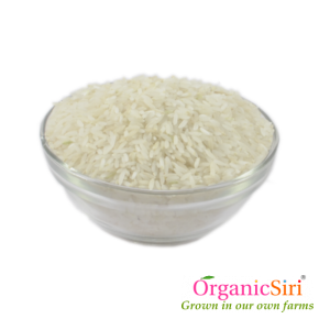 Healthy Rice Crop - Growth and Harvest of Aug 21 Crop 13 Organic Rice White