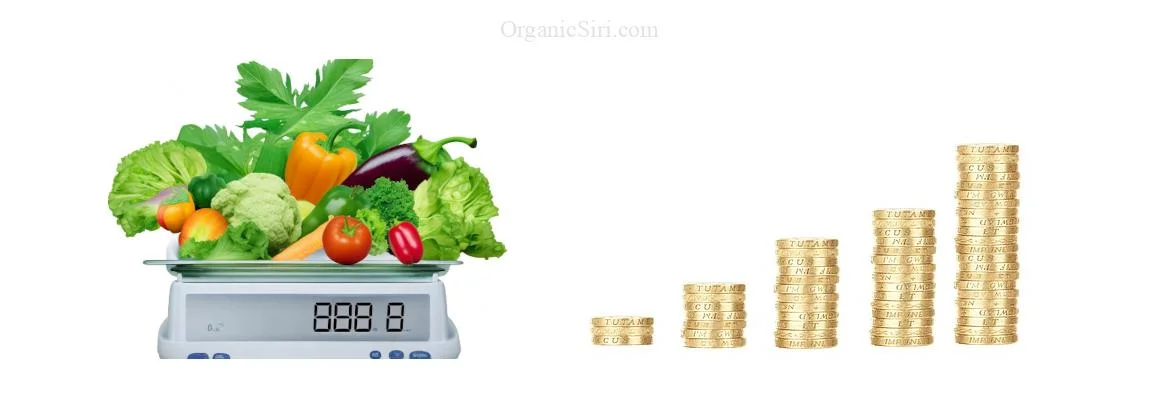Organic Vegetables are costly? Can I afford Organic Vegetables?