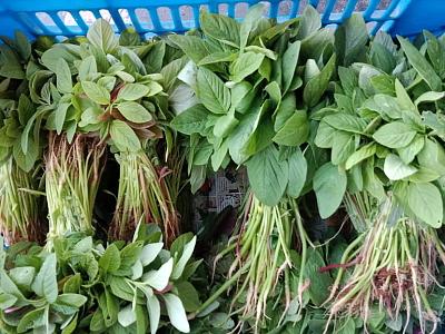 Leafy Vegetables Bundles